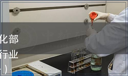 中華人民共和國(guó)工業(yè)和信息化部公告|250項(xiàng)行業(yè)標(biāo)準(zhǔn)和11項(xiàng)行業(yè)標(biāo)準(zhǔn)外文版（2021年第21號(hào)）