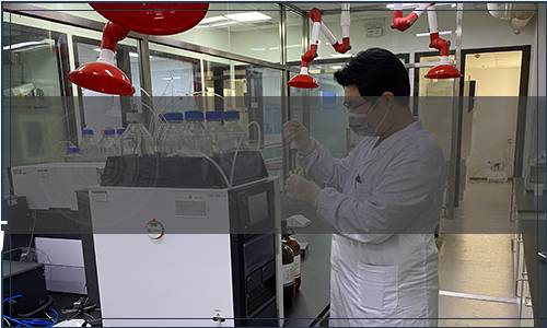 廣西壯族自治區市場監督管理局關于批準發布《地理標志產品 防城金花茶》等68項地方標準的通告