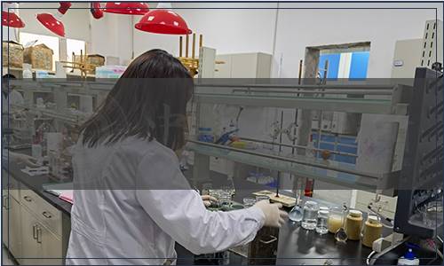 海南省塑料行業協會關于發布《食品包裝用全生物降解塑料保鮮（膜）袋通用要求》等二項團體標準的公告（瓊塑協[2021]17號）