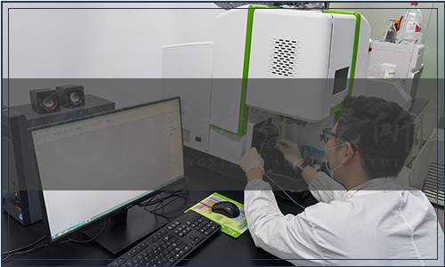 浙江省農產品質量安全學會發布《蛋雞抗菌藥使用減量化技術規范》等3項團體標準公告（第043號）