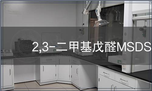 2,3-二甲基戊醛MSDS