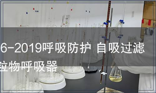 GB 2626-2019呼吸防護 自吸過濾式防顆粒物呼吸器