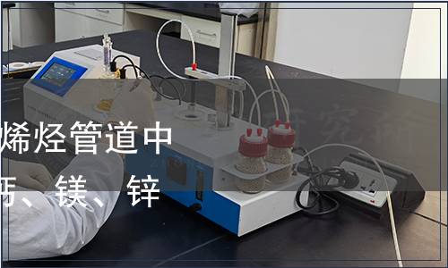 GB/T 39994-2021 聚烯烴管道中六種金屬元素（鐵、鈣、鎂、鋅、鈦、銅）的測定