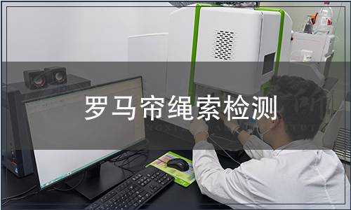 羅馬簾繩索檢測