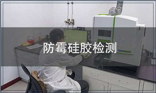 防霉硅膠檢測(cè)