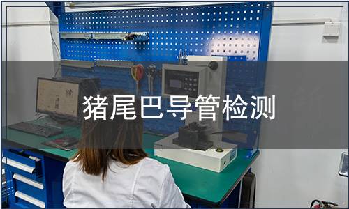 豬尾巴導管檢測