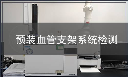 預(yù)裝血管支架系統(tǒng)檢測(cè)
