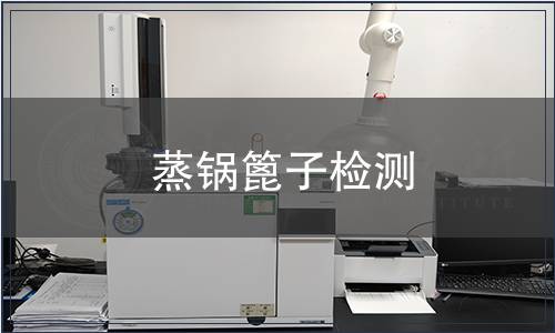 蒸鍋篦子檢測(cè)