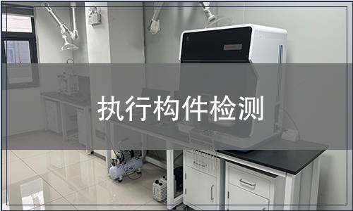 執(zhí)行構(gòu)件檢測(cè)