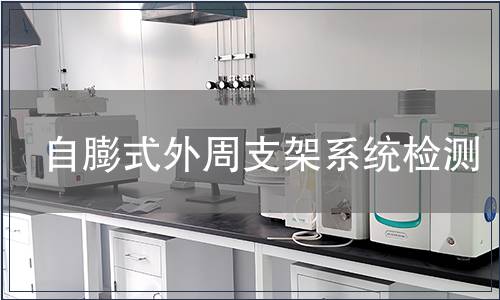 自膨式外周支架系統檢測