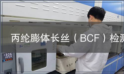 丙綸膨體長絲（BCF）檢測