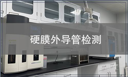 硬膜外導管檢測