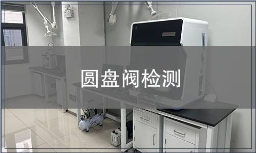 圓盤(pán)閥檢測(cè)