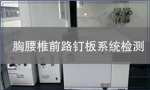 胸腰椎前路釘板系統檢測