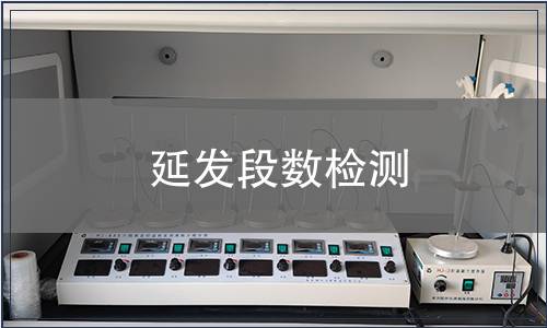 延發(fā)段數(shù)檢測