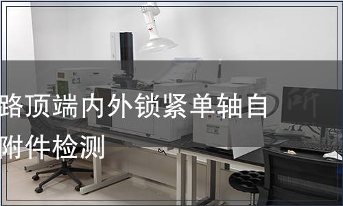 胸腰椎后路頂端內外鎖緊單軸自攻螺釘含附件檢測