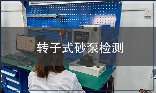 轉(zhuǎn)子式砂泵檢測(cè)