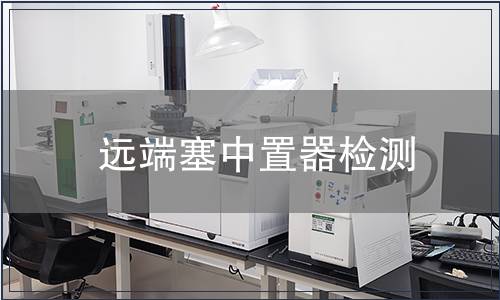 遠(yuǎn)端塞中置器檢測