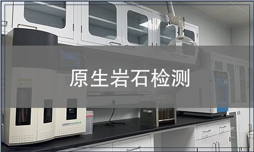 原生巖石檢測