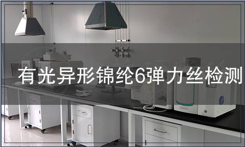 有光異形錦綸6彈力絲檢測(cè)