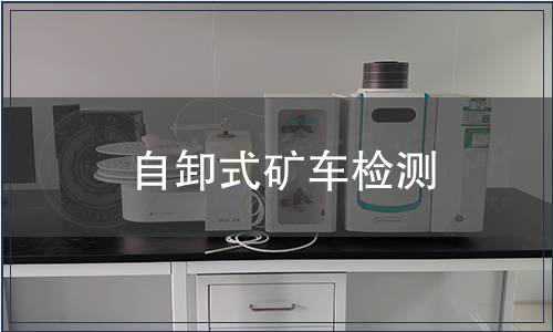 自卸式礦車檢測(cè)