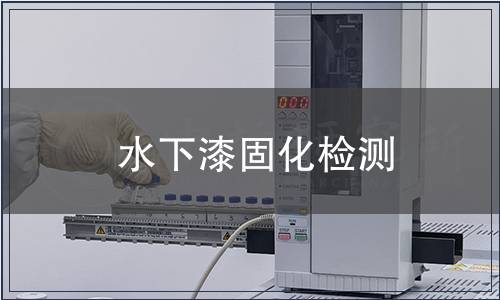 水下漆固化檢測(cè)