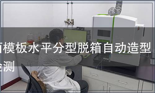 雙面模板水平分型脫箱自動造型機檢測