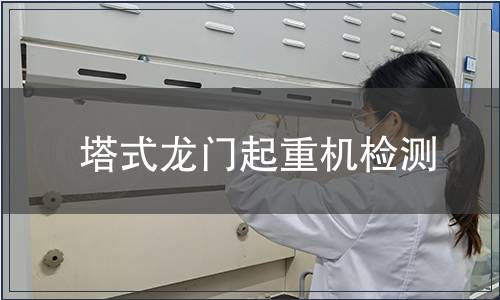 塔式龍門起重機(jī)檢測