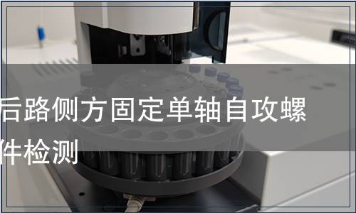 胸腰椎后路側(cè)方固定單軸自攻螺釘含附件檢測(cè)