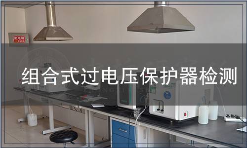 組合式過(guò)電壓保護(hù)器檢測(cè)