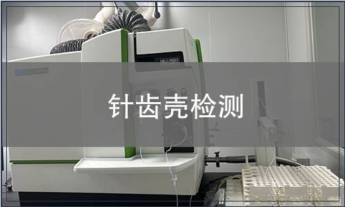 針齒殼檢測(cè)