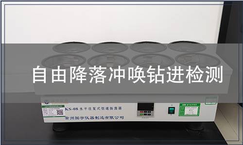 自由降落沖喚鉆進檢測