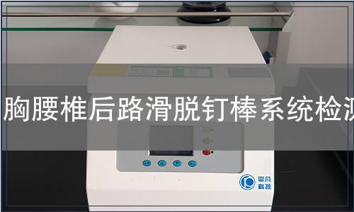 胸腰椎后路滑脫釘棒系統(tǒng)檢測(cè)