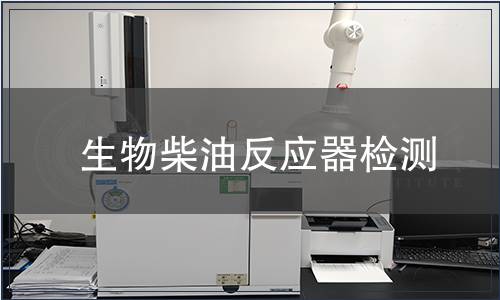 生物柴油反應(yīng)器檢測(cè)