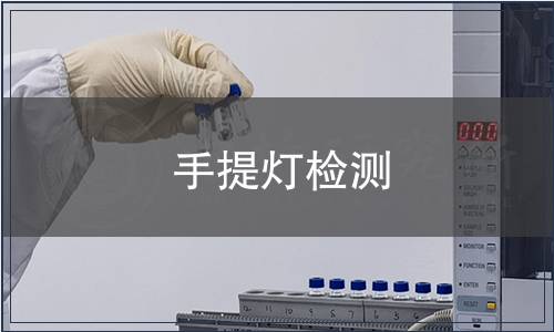 手提燈檢測(cè)