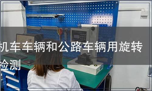 軌道機車車輛和公路車輛用旋轉電機檢測