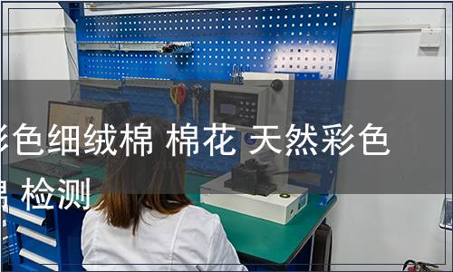 天然彩色細絨棉 棉花 天然彩色細絨棉 檢測