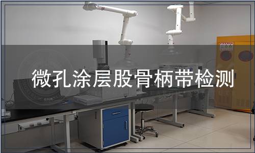 微孔涂層股骨柄帶檢測(cè)