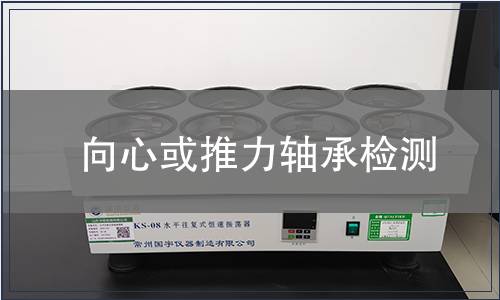 向心或推力軸承檢測