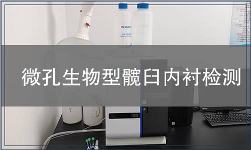 微孔生物型髖臼內襯檢測