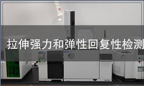 拉伸強力和彈性回復(fù)性檢測