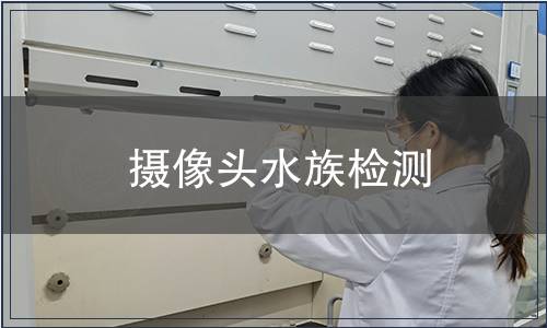 攝像頭水族檢測