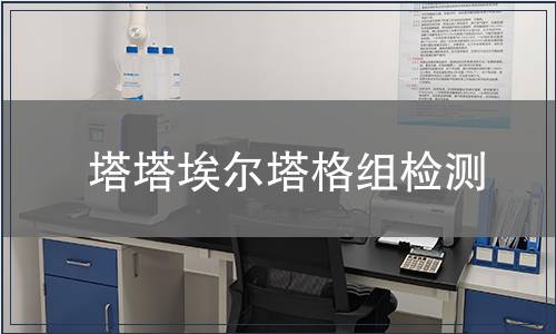 塔塔埃爾塔格組檢測