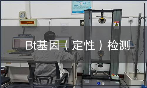 Bt基因（定性）檢測