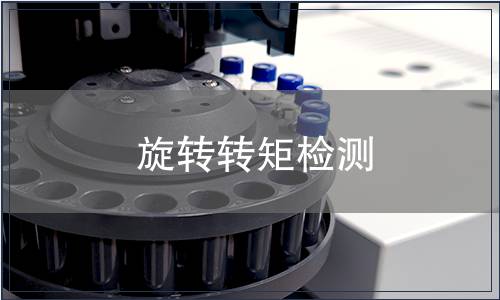 旋轉(zhuǎn)轉(zhuǎn)矩檢測