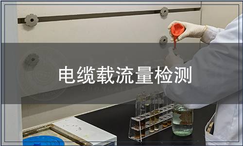 電纜載流量檢測