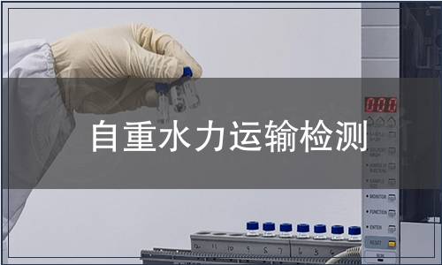 自重水力運輸檢測