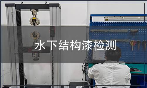 水下結(jié)構(gòu)漆檢測(cè)