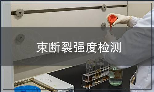 束斷裂強(qiáng)度檢測(cè)