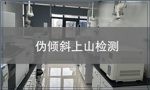 偽傾斜上山檢測